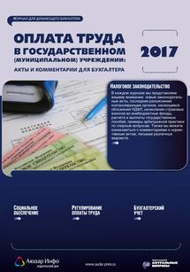 Оплата труда в государственном (муниципальном) учреждении: акты и комментарии для бухгалтера №5 2017