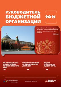 Руководитель бюджетной организации №6 2021