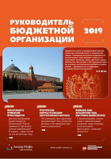 Руководитель бюджетной организации №6 2019